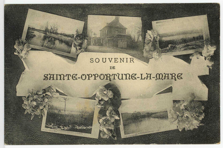 Sainte-Opportune-la-Mare. Carte souvenir.