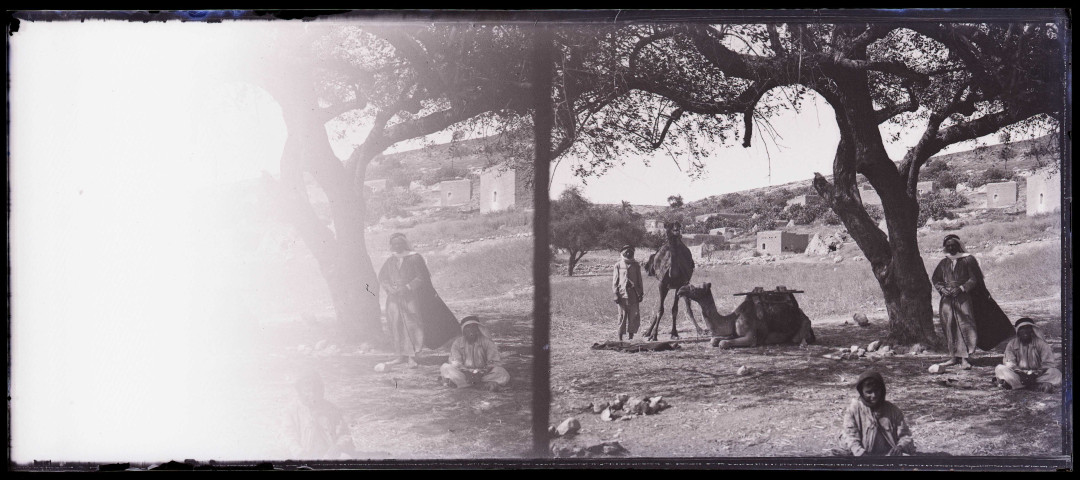 Hommes et leur dromadaire sous un arbre.