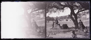 Hommes et leur dromadaire sous un arbre.