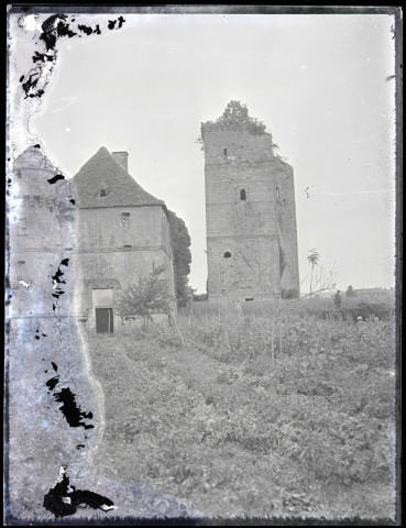 Tour et bâtiment en ruines avec un dindon.