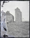 Tour et bâtiment en ruines avec un dindon.