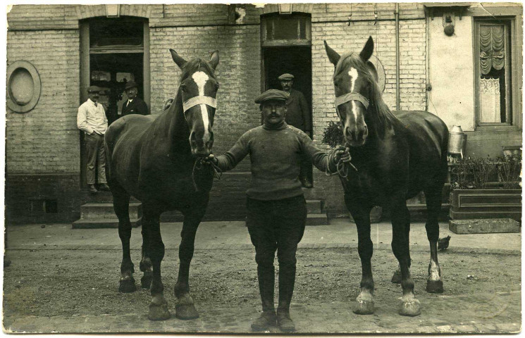 Avrilly. Paire de juments vendues par R Renoult Marchand de Chevaux.