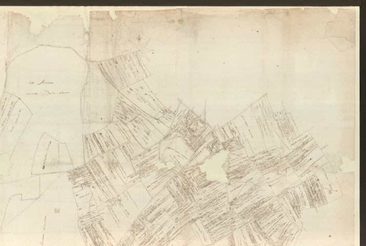 Coulonges - "Plan de la seigneurie des Murgés". *