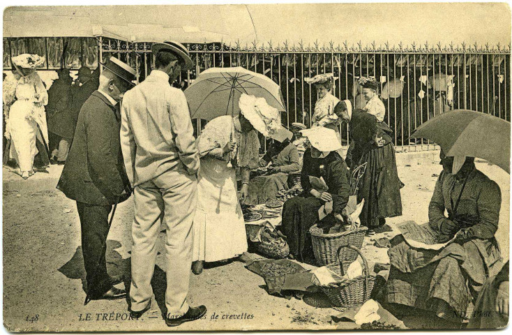 Seine-Maritime. Le Tréport. - Marchés de crevettes.