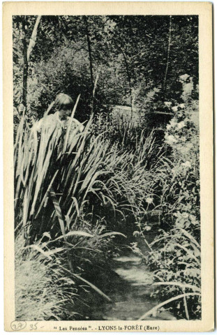 Lyons-la-Forêt. Les Pensées.