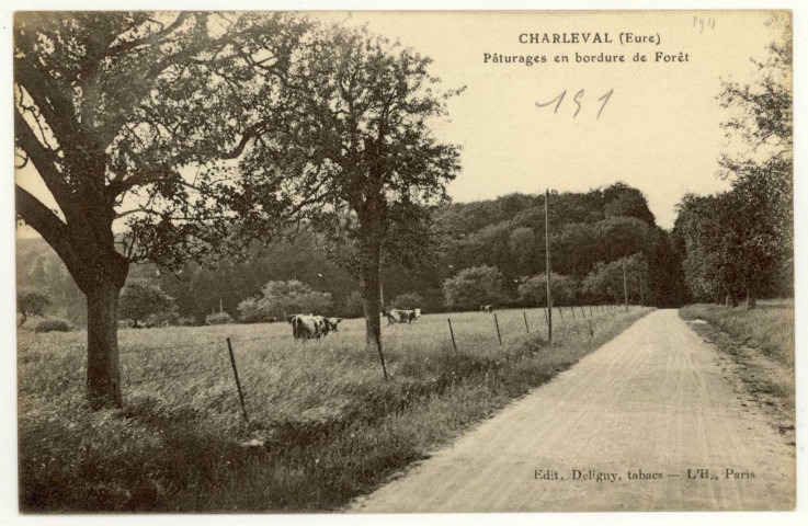 Charleval. Pâturages en bordure de Forêt.