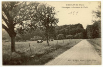 Charleval. Pâturages en bordure de Forêt.