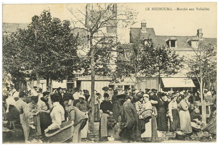 Neubourg (Le). Marché aux Volailles.