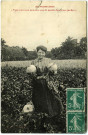 Divers. En Normandie. - "Vous n'en avez peut-être pas de pareils dans votre jardin" !...