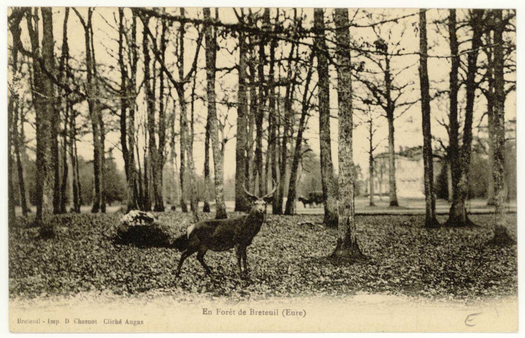 Breteuil-sur-Iton. En Forêt de Breteuil.