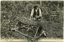Divers. En Normandie. - … dans les Bois.