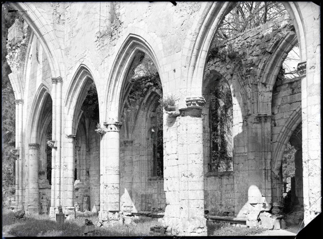 Ruines et vestiges de l'abbaye de Jumièges (Seine-Maritime).