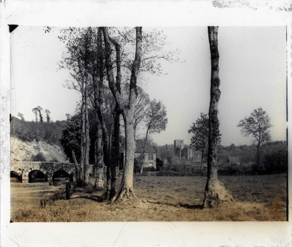 Ruines de l'abbaye de d'Hambye à Percy (Manche).