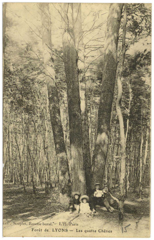 Lyons-la-Forêt. Forêt de Lyons - Les quatre Chênes.