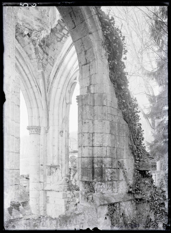 Ruines et vestiges de l'abbaye de Jumièges (Seine-Maritime).