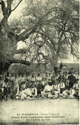 MAHIRIDJA (Maroc Oriental) - Repos d'une Compagnie sous l'Ombrage de l'Arbre de Fer