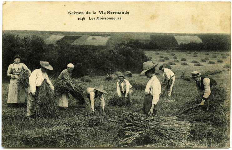 Divers. Scènes de la Vie Normande. - Les Moissonneurs.