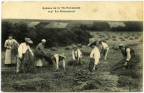 Divers. Scènes de la Vie Normande. - Les Moissonneurs.