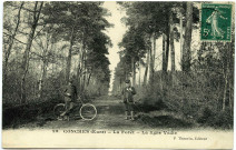 Conches-en-Ouche. La Forêt - La Ligne Védie.