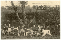 Breteuil-sur-Iton. Chasse à courre en forêt de Breteuil-Cerf aux abois.