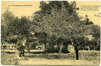 Divers. La Normandie illustrée.