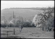 Vue sur la campagne de Ménesqueville (Eure).