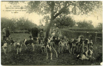 Basse-Normandie. Scènes de la Vie Normande. - Chasse à la Forêt de Cerisy. - La meute.