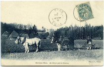 Ecos. Environs d'Ecos. - Au labour près le Chesnay.