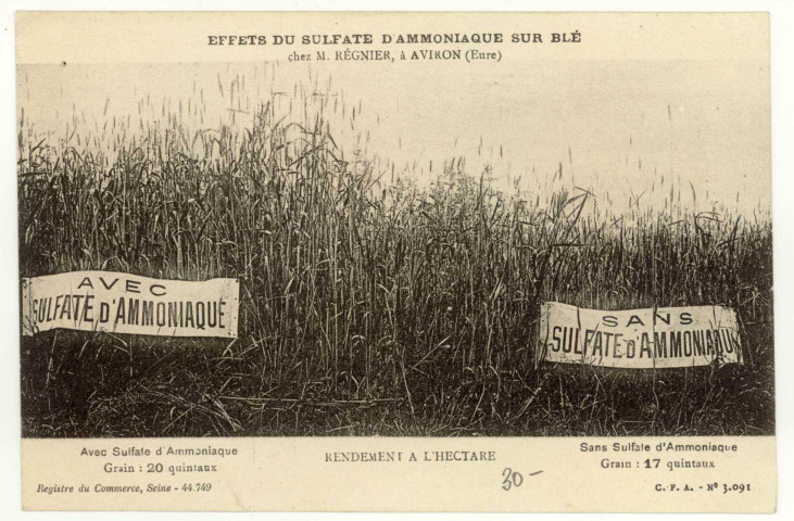 Aviron. Effets de Sulfate d'ammoniaque sur blé, chez Mr Régnier.