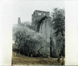 Ruines de l'abbaye de d'Hambye à Percy (Manche).