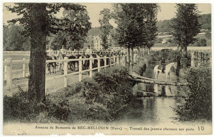 Bec-Hellouin (Le). Annexe de Remonte-Travail des jeunes chevaux sur piste.