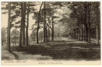 Bernay. Le Plateau des Monts.