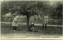 Divers. La Normandie illustrée. - J'donnerais bin toutes les pommes de Groscu de ton pommier pour les deux mandarines de c'te guerdine-là.